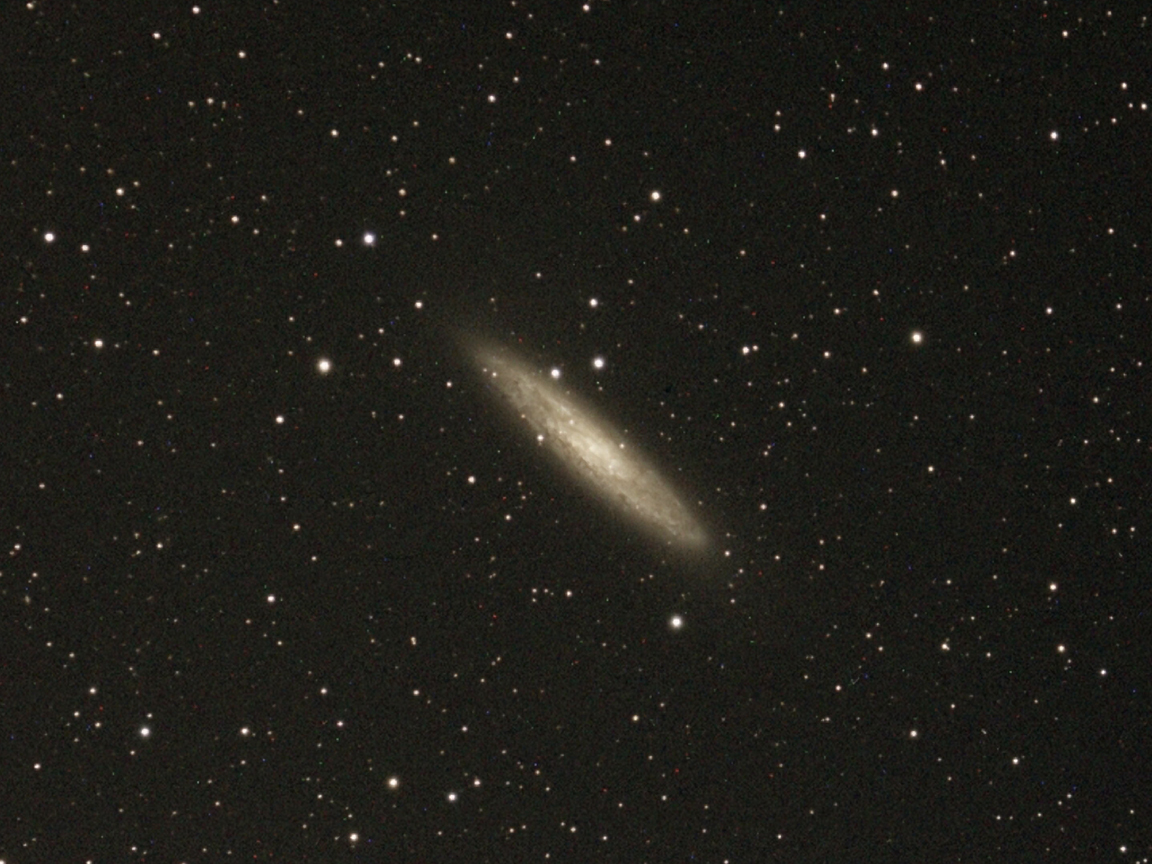 NGC253 - Galaxia espiral barrada