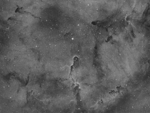 IC1396 – Elephant Trunk IC1396 – Elephant Trunk